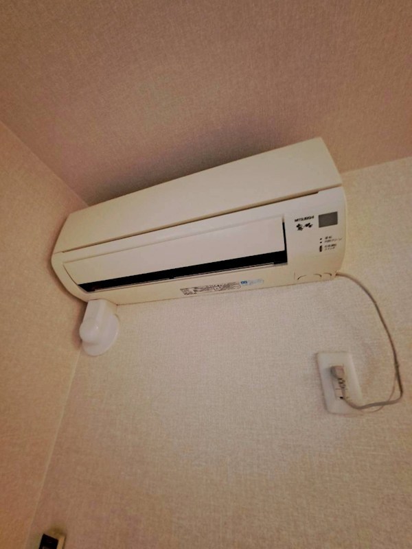 エバーグリーン その他6