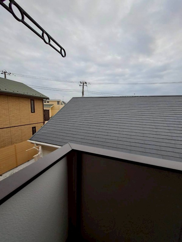 エバーグリーン その他7