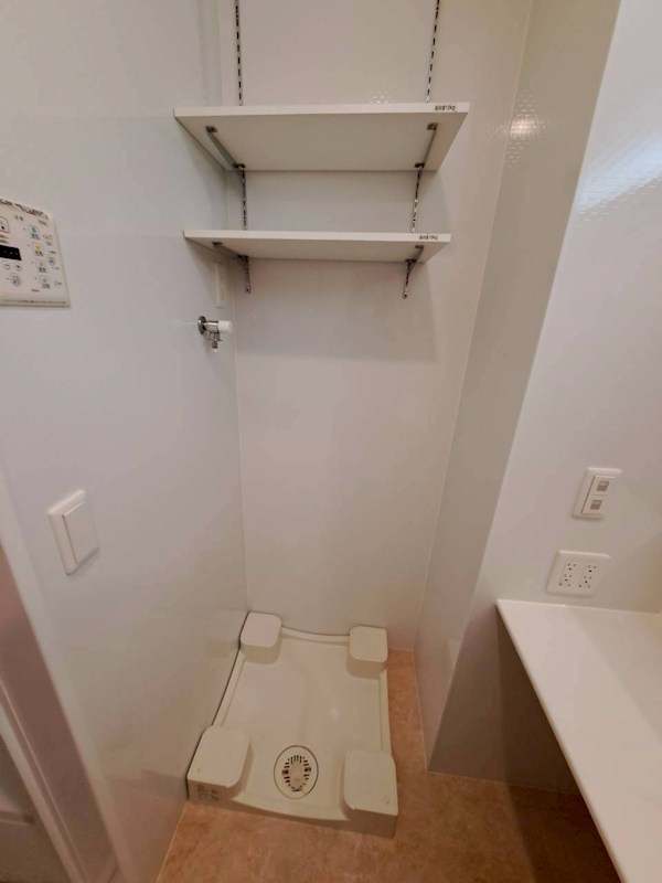 エバーグリーン その他8