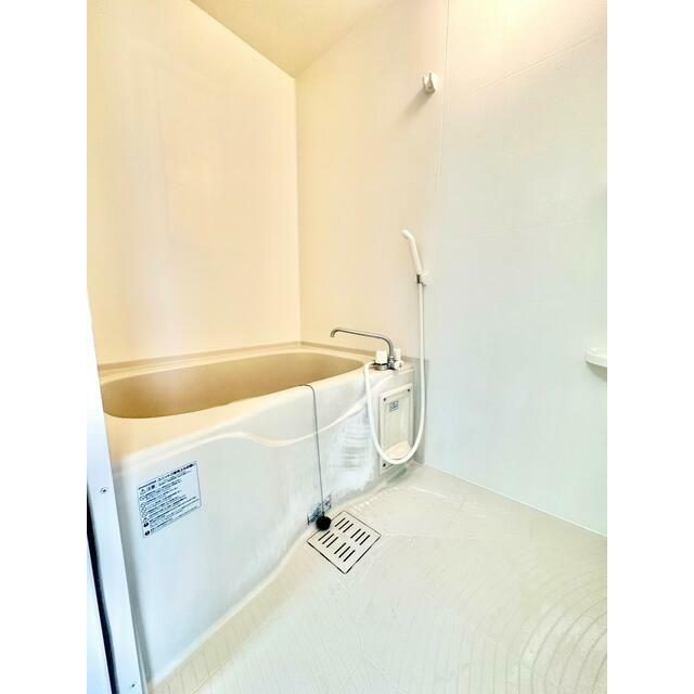 Ｃｏｒａｌ　Ｂ その他5