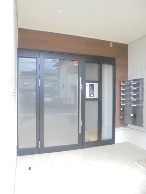 カメリア その他7