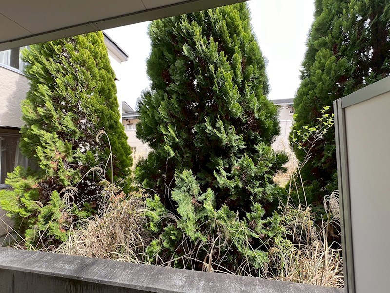 Ｖｉｌｌａ５１０　Ｎｏ．６ その他7