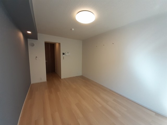 カメリア・ＯＲ その他1