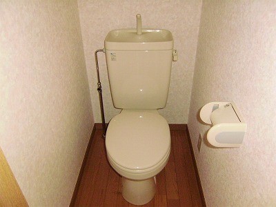 アルシオーネ その他1