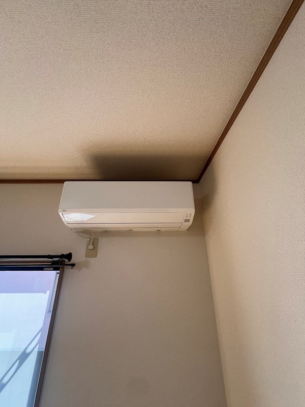 ブラッサム その他6