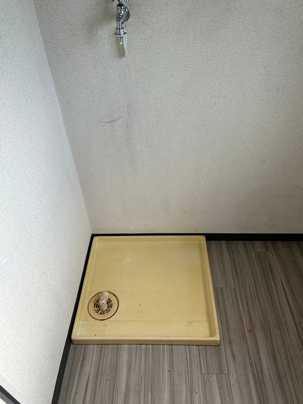 パストラーレ その他4