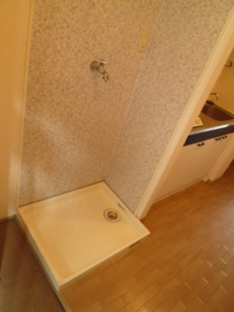 ルーチェ水引 その他4