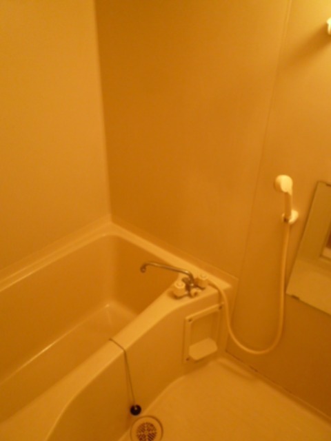 ルーチェ水引 風呂画像