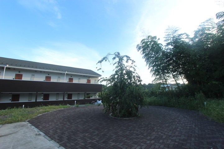 il　compagnoⅢ（イルコンパーニョ3） その他6