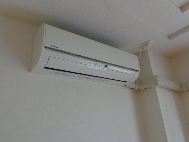 ＥＶＥＲ　ＳＨＩＮＥ　ＳＨＯＮＡＮ その他4