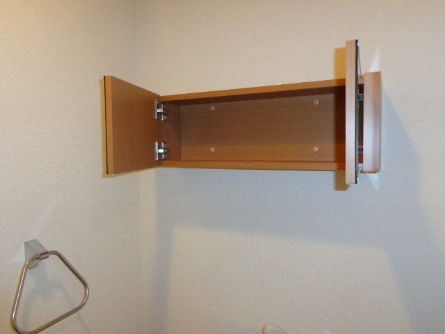 ＥＶＥＲ　ＳＨＩＮＥ　ＳＨＯＮＡＮ その他9