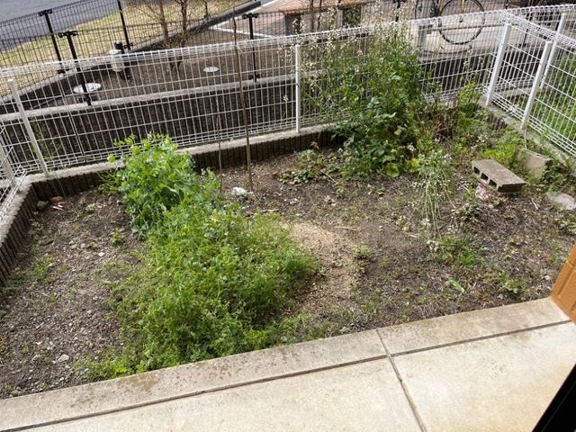 サニーインプレス その他5