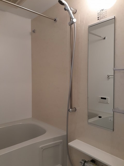 スリール・ダーンジュ 風呂画像