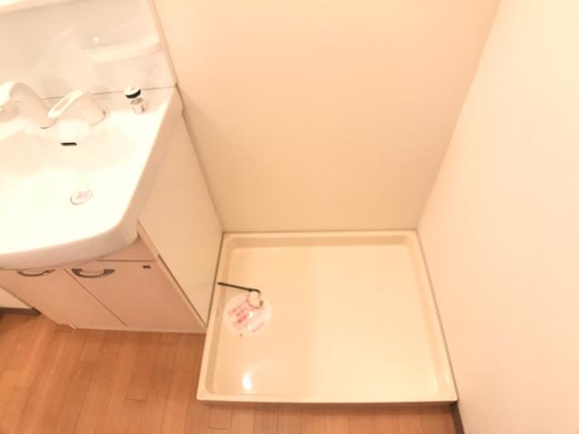 レジーナ その他