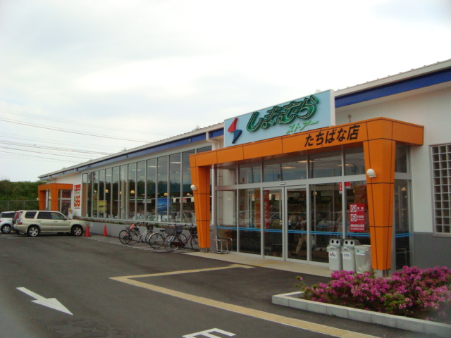 レジーナ その他