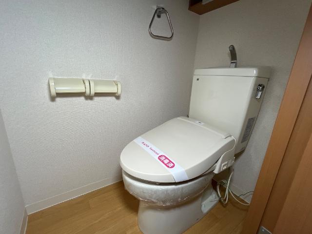 カロータ その他1