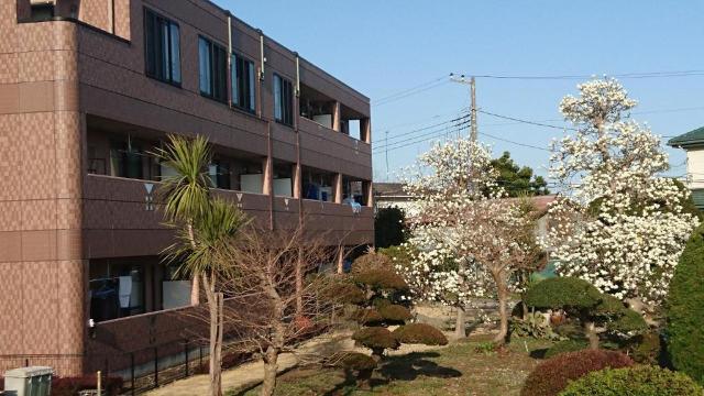 ノーブルヒル 外観