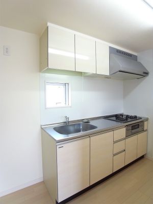 リブリ・ウイングライト その他10