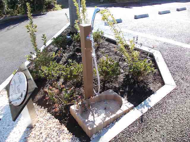 パラディ　カノ その他5