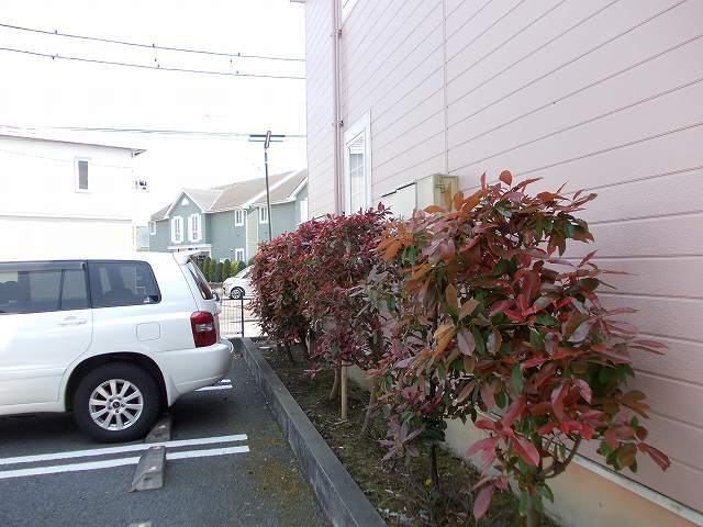 ヴァン・リヴィエール その他3