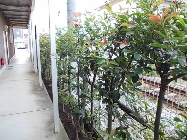 Ｓ．Ｓクニヤン その他8