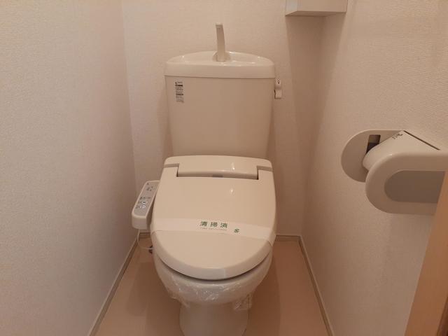 ブライトフラワーＣ その他4