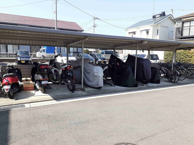 ブライトフラワーＣ その他5