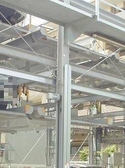 ディペンドマーク その他7