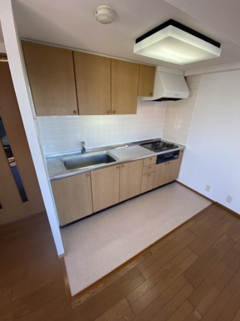 南藤沢AFビル キッチン