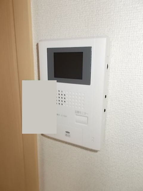 ピュア・グリーンⅡ その他1