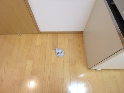 アクアベル その他部屋・スペース