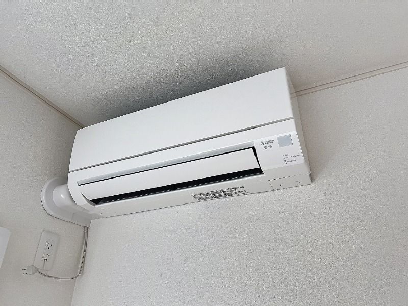 鎌倉 花冠 その他5