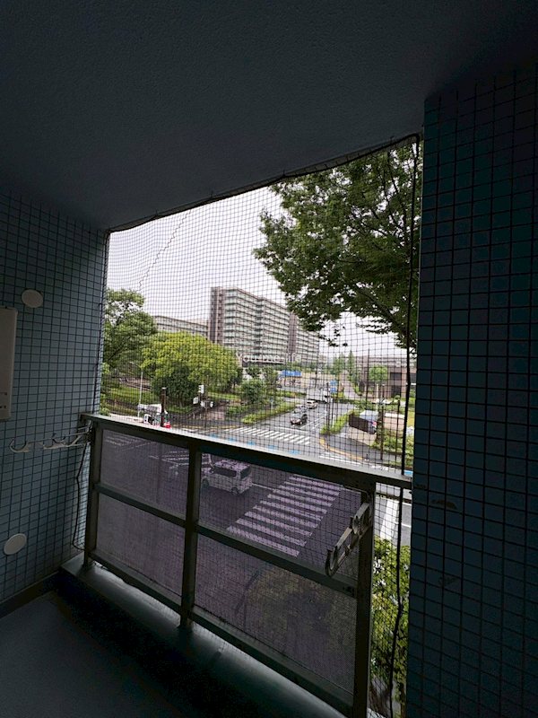 クリーン・ブルー 眺望