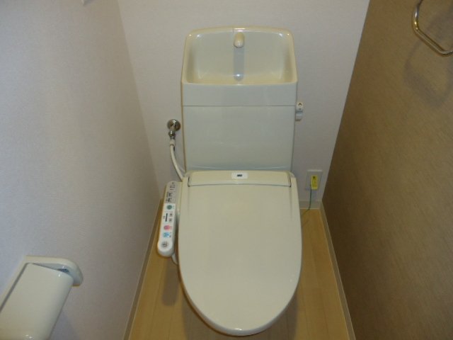 マリーゴールド その他2