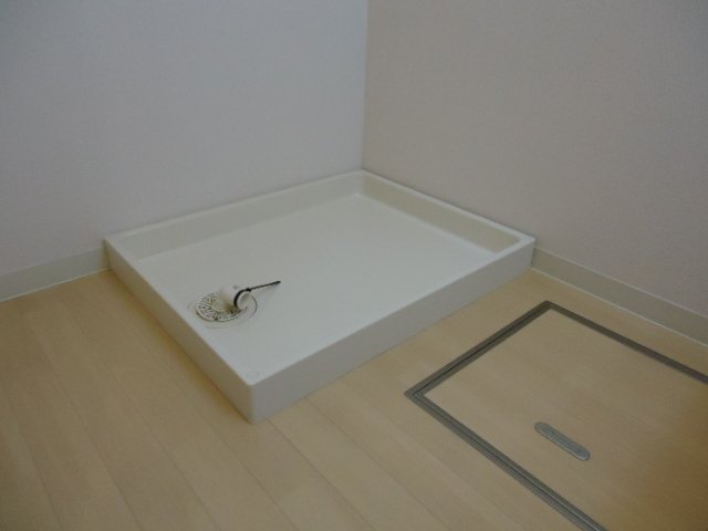 マリーゴールド その他5