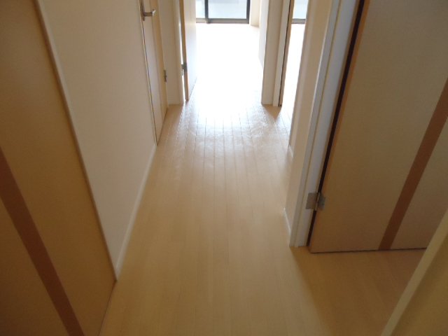 マリーゴールド その他10