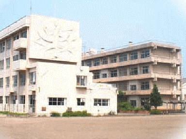 マリーゴールド その他15