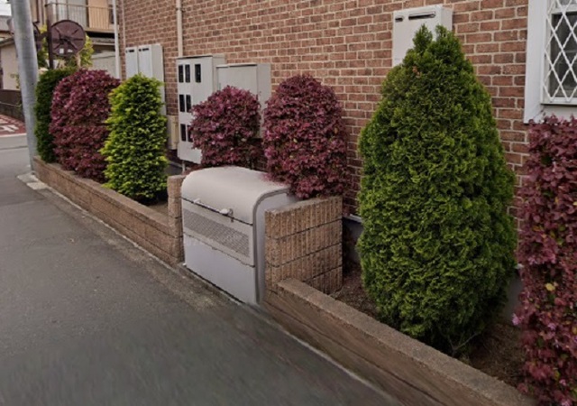 セレーサ その他5