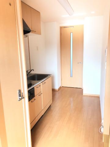 ルミナス・ネロ その他8