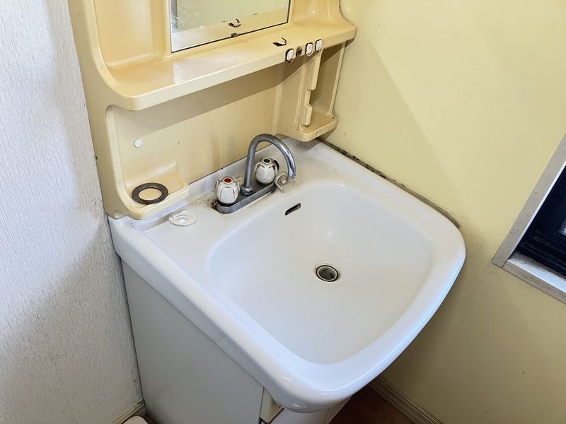 グリーンコンツェルトB その他2