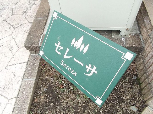 セレーサ その他7