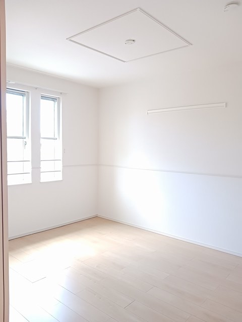 秋桜（コスモス） その他1