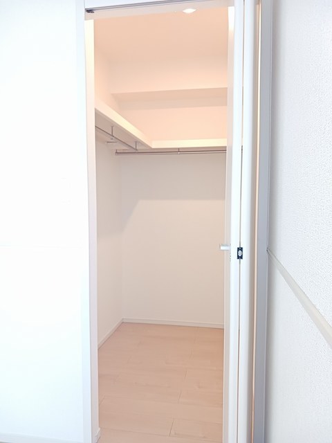 秋桜（コスモス） その他2