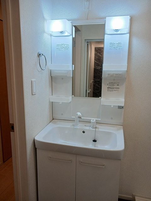 秋桜（コスモス） その他3