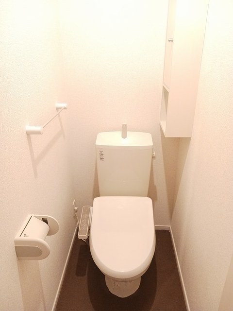 秋桜（コスモス） その他4