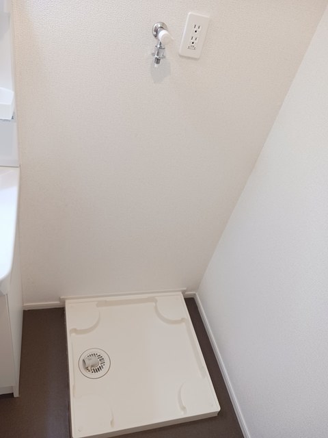 秋桜（コスモス） その他5