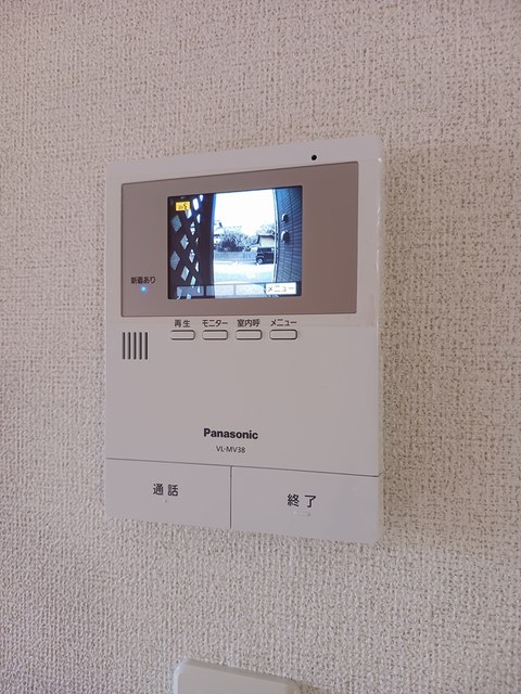 秋桜（コスモス） その他6