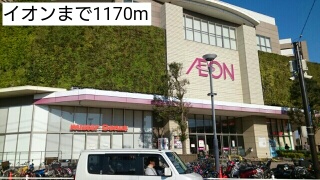 秋桜（コスモス） その他外観3