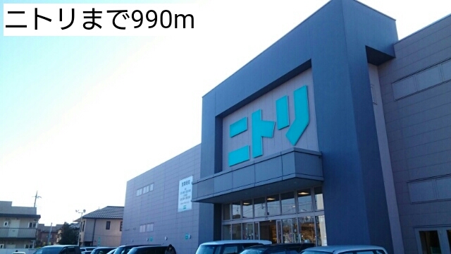 秋桜（コスモス） その他外観4