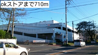 秋桜（コスモス） その他外観6